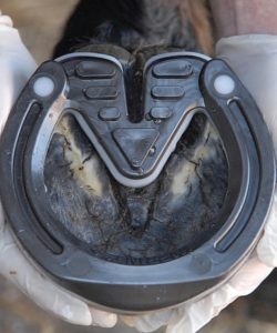 Shock absorbing heartbar with shortened breakover